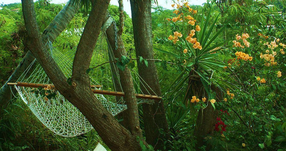 St. John Inn Cruz Bay Buitenkant foto