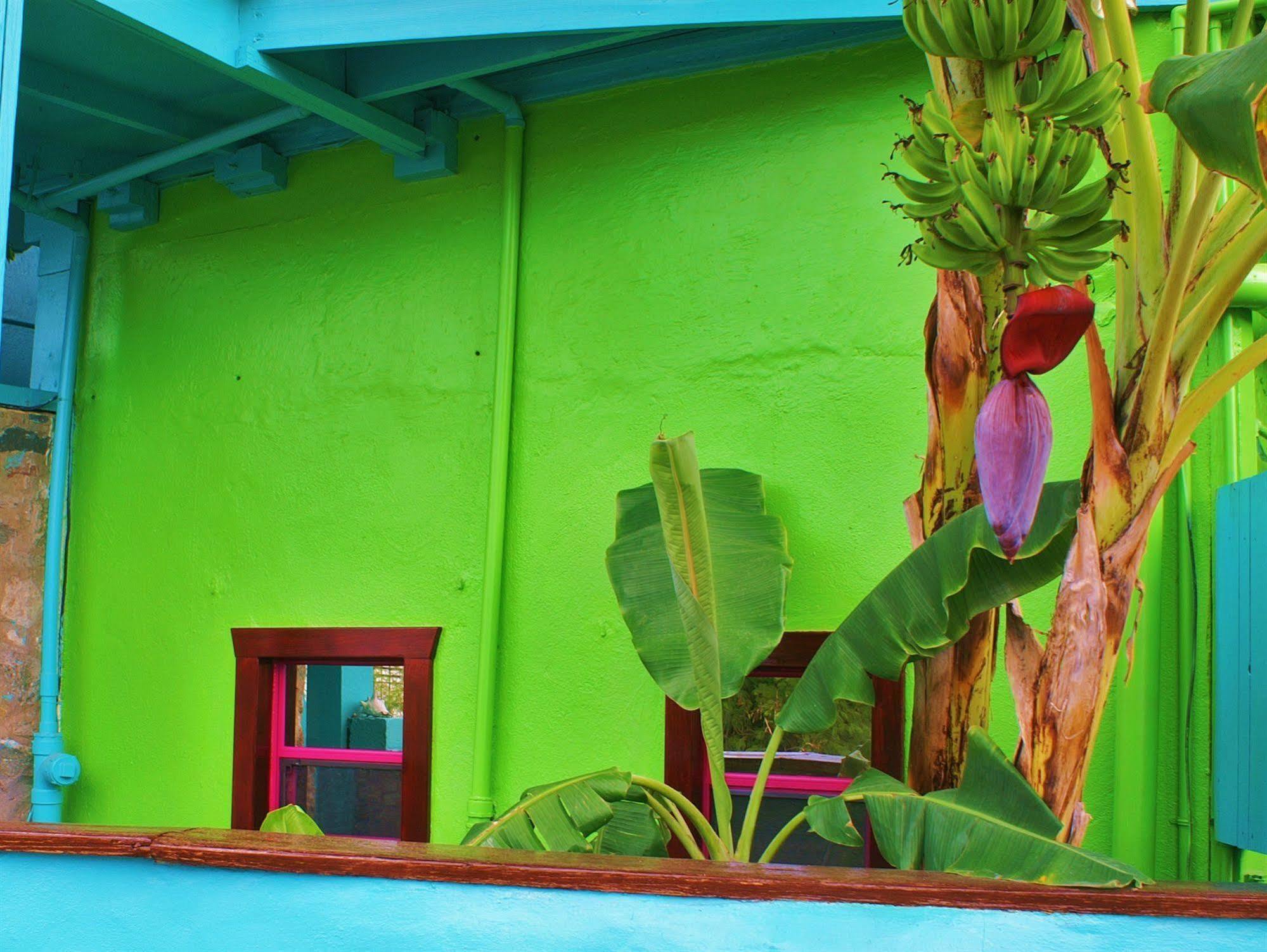 St. John Inn Cruz Bay Buitenkant foto