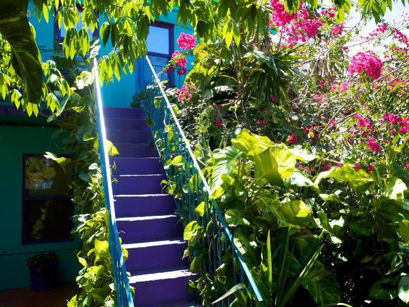 St. John Inn Cruz Bay Buitenkant foto